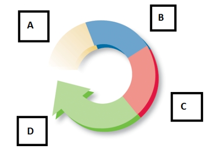   -The accompanying figure represents the instruction cycle.The second step is Box B and represents the ____. A)  fetch instruction B)  interpret instruction C)  execute instruction D)  increment pointer