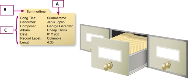 <strong> In the accompanying figure,the items marked C represent ____.</strong> A) a cell B) fields C) records D) items