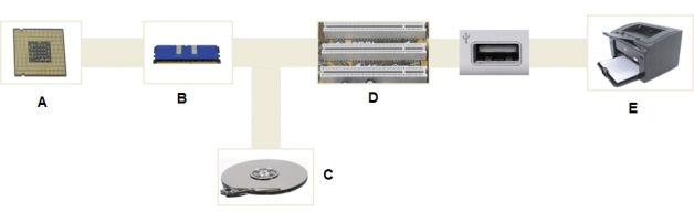   -In the accompanying figure,which of the following is NOT true of the component in picture C? A)  It provides lots of storage capacity. B)  It is volatile. C)  It provides economical storage. D)  It is the preferred type of main storage for most personal computers.