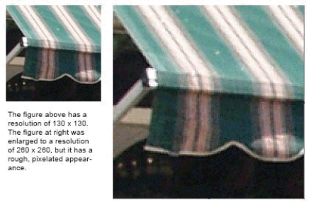   -In the accompanying figure,the bitmap image on the left was enlarged to create the image on the right by a process called pixel <u>recalibration</u>._________________________
