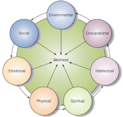 The nurse is working in the role of client health educator.Based on the information in the image,these concepts are components of which topic?   A)  Health B)  Wellness C)  Well-being D)  Fitness