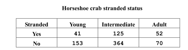 Male horseshoe crabs (Limulus polyphemus) on a beach can become overturned bywaves approaching the beach. These  stranded  males must right themselves or theywill face death by desiccation (drying out) or fall prey to predators such as sea gulls.Over a period of many days on a South Carolina beach, investigators categorized arandom sample of crabs as either stranded or not and additionally noted their agecategory. The researchers wished to determine if there was convincing evidence ofan association between strandedness and age.    a) What is the appropriate null hypothesis for this investigation?  (You may state thishypothesis in ordinary English if you wish.) b) Using the null hypothesis from part (a), test the appropriate hypotheses using achi-square procedure.