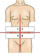 Which area of the abdomen shown in the accompanying figure will the nurse palpate to assess for splenomegaly?   A)  1 B)  2 C)  3 D)  4