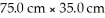 What is the thickness in mm of the sheet   Formed by   Atoms of lead? The density of lead is 11.35 g/cm<sup>3</sup>. A) 9.10 mm B) 0.0910 mm C) 1.88 × 10<sup>4 mm</sup> D) 0.273 mm E) 2.73 mm