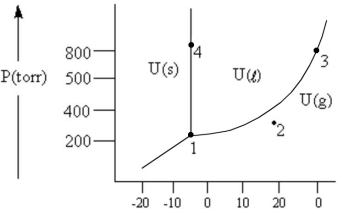 <strong>According to the phase diagram given,which of the following is INCORRECT? </strong> A)At the temperature and pressure of point 1,substance U exists as a three-phase equilibrium system. B)At the temperature and pressure of point 2,substance U exists as a one-phase gaseous system. C)At the temperature and pressure of point 3,substance U exists as a two-phase system. D)If the U(s)⇔ U(l)system is maintained at the temperature of point 4 while pressure is decreased steadily to about 300 Torr,more U will freeze. E)There are no conditions of temperature and pressure under which solid U will vaporize without melting first.
