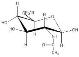 β-D-N-Acetylglucosamine (shown below) is a glycose found in many glycoproteins which are an integral part of cell membranes.One chair conformation of this glycose is shown below.How many of the hydroxyl groups on the six-membered ring occupy equatorial positions? A) 2 B) 4 C) 0 D) 3 E) 1