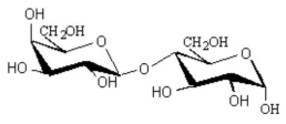 Lactose,the sugar found in milk,is a disaccharide of galactose and glucose in a 1,4 linkage.What is the configuration of the 1,4 linkage between the two glycoses in lactose?   A) β configuration B) α configuration C) D configuration D) axial configuration E) chair configuration