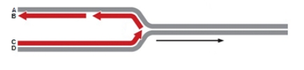 In the diagram below, which letter indicates the 5' end of the leading strand?   A) A B) B C) C D) D E) C and D