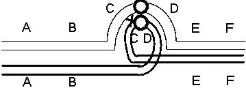 Isochromosomes have the structure ABC<sup>-</sup>CBA (where <sup>-</sup> represents the centromere, and A, B, and C represent wild-type alleles of three different genes).In some cases, such isochromosomes are derived from two copies of one-half of a metacentric chromosome, which has a centromere near its center.For example, a wild-type metacentric chromosome ABC<sup>-</sup>DEF might form two distinct isochromosomes, ABC-CBA and FED-DEF.The centromeres of such distinct isochromosomes can be homologous, so that they cause the segregation of the two distinct isochromosomes from each other during meiosis. a.A mutant of genotype ABC-CBA/FED-DEF is viable.If you cross this mutant with a wild-type individual, what would you expect to be the genotype of the offspring? Would these offspring be viable or not? Explain. b.What would you expect if you cross this mutant with another individual of genotype ABC-CBA/FED-DEF? Explain. c.You are given a pericentric inversion mutant in which this same chromosome is of genotype ABD-CEF.In an individual heterozygous for this inversion and a wild-type chromosome there is a crossover between C and the centromere, as follows:   Indicate the gametes that would be generated. d.Assume that the inversion interval is very small, so that both duplications and deletions for this interval (from C to