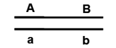 Two genes, A and B, are located 30 map units apart.The dihybrid shown below is mated to a tester aa bb.What proportion of the offspring is expected to be dominant for both traits?   A) 0% B) 15% C) 30% D) 35% E) 70%