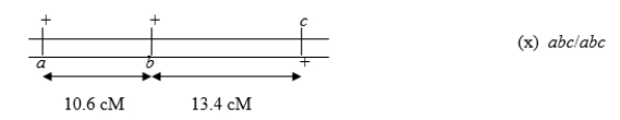 <strong>Consider the following three-point (trihybrid)testcross:   Calculate the number of double crossovers you would expect to observe if 1000 progeny result from this testcross assuming a coefficient of coincidence of 0.25.</strong> A)About 14 B)About 26 C)About 10 D)About 4 E)None, because there is crossover interference <div style=padding-top: 35px> 