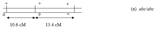 Consider the following three-factor (trihybrid) testcross:   Calculate the number of expected individuals of a<sup>+</sup>a bb c<sup>+</sup>c genotype if 1000 progeny result from this testcross. A) About 102 B) About 46 C) About 130 D) About 65 E) About 250