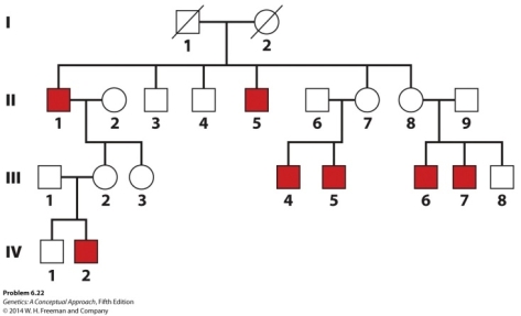 The trait shown below is expressed only in males in the family.What is the BEST explanation for the inheritance of this trait?   A) Y-linked inheritance B) Sex-linked (X-linked) recessive inheritance C) Autosomal recessive inheritance D) X-linked dominant inheritance E) None of these explanations fit for this trait.
