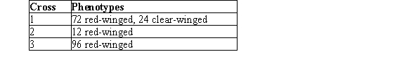 While doing field work in Madagascar, you discover a new dragonfly species that has either red (R) or clear (r) wings.Initial crosses indicate that R is dominant to r.You perform three crosses using three different sets of red-winged parents with unknown genotype and observe the following data:   Which cross is likely to have at least one parent with the genotype RR? A) Cross 1 B) Cross 2 C) Cross 3 D) Crosses 1 and 2 E) Crosses 2 and 3