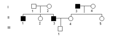 If the characteristic followed in the pedigree is autosomal recessive, what is III-1's genotype?   A) Either homozygous dominant or heterozygous B) Definitely heterozygous C) Definitely homozygous dominant D) Must be homozygous recessive E) Homozygous dominant since he is a male but a female would be heterozygous