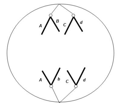 The figure shows chromosomal separation taking place.The letters stand for genes; capital and lowercase stand for different alleles.The diploid chromosome number in this organism is four.What process is shown?   A) Anaphase of mitosis B) Telophase of meiosis I C) Anaphase of meiosis I D) Telophase of mitosis E) Anaphase of meiosis II