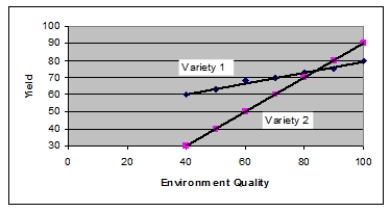 The graph below shows how yield in two varieties of corn respond to different environmental conditions.Which statement below is TRUE?   A) Under tested conditions, variety 1 has a higher yield than variety 2. B) Under tested conditions, variety 2 has a higher yield than variety 1. C) Under tested conditions, variety 2 is more sensitive to environment quality than variety 1. D) Variety 1 is genetically superior to variety 2. E) Variety 2 is genetically superior to variety 1.