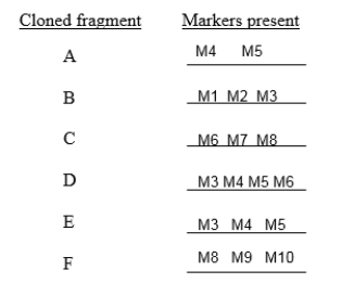 In the following list of cloned fragments, the fragments needed to make the longest possible contig with the least amount of overlap are:   A) A, B, F. B) A, B, C, E. C) B, C, D, F. D) B, C, D, E, F. E) A, B, C, D, E, F.