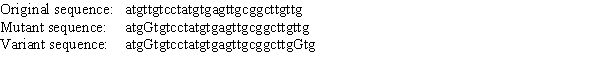 You are working on an insulin-binding protein from fish.The beginning of the coding sequence of the gene is shown below.You find a mutant in the gene that cannot bind insulin (also shown below).Among a population of fish that have the gene for the mutant protein, you find one that produces a variant of this protein that can now bind insulin again (DNA sequence also shown below).What kind of mutation is this new variant? (Use a genetic rather than a biochemical classification.)  