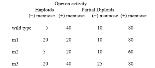 The bacterium, Bacillus subtilis, can grow on minimal media with a variety of sugars as its carbon source.One such sugar is mannose, metabolized by the products of the man operon.Expression of the operon is controlled by a regulatory protein encoded in a separate gene, manR.Depending on conditions, the regulatory protein may bind at one of two sites in the operon, as follows: (i)When mannose is absent from the cell, the regulatory protein is in a conformation called R1.R1 can bind specifically at an operator site manO.Binding of R1 at manO reduces transcription of the operon four-fold from a basal level of 20 units. (ii)When mannose is present in the cell, it binds to the regulatory protein, causing it to undergo an allosteric transition from conformation R1 to a new conformation, called R2.R2 cannot bind at manO.However, R2 can bind specifically at a different site called the initiator, manI.Binding of R2 at manI increases transcription of the operon two-fold from the basal level. Mutations, m1-m3, which affect expression of this operon, were identified.Each mutation affects only a single component of the operon.Levels of operon activity were measured in haploids.They were also measured in partial diploids with an F' carrying the wild-type alleles of all genes and regulatory elements described above.   For each mutation, describe which component is affected.In addition, explain the observed activity in the haploid and partial diploid in each case.<div style=padding-top: 35px> 