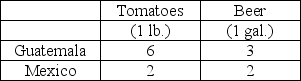<strong>The following table summarizes the production relationships in Mexico and Guatemala to produce tomatoes and beer: Table 16.1 Hours of Labor Required to Produce   Refer to Table 16.1.Which of the following statements is correct?</strong> A)There are potential gains from trade if: (1)Mexico specializes in the production of tomatoes,(2)Guatemala specializes in the production of beer,and (3)Mexico trades tomatoes to Guatemala for beer. B)There are potential gains from trade if: (1)Mexico specializes in the production of beer,(2)Guatemala specializes in the production of tomatoes,and (3)Mexico trades beer to Guatemala for tomatoes. C)There are no potential gains from trade because Mexico has an absolute advantage in the production of beer and tomatoes. D)There are no potential gains from trade because Guatemala has an absolute advantage in the production of beer and tomatoes. <div style=padding-top: 35px> 