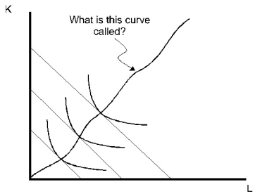 <strong>The curve in the diagram is called </strong> A)the income-consumption curve. B)the long-run total cost curve. C)the expansion path. D)the price-consumption curve. E)none of the above