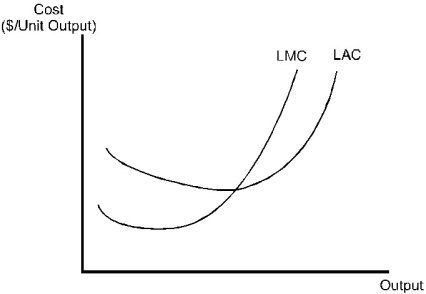The LAC and LMC curves in the diagram below are consistent with a production function that exhibits   A) decreasing returns to scale. B) constant returns to scale. C) increasing returns to scale. D) increasing returns to scale for small levels of output,then constant returns to scale,and eventually decreasing returns to scale as output increases. E) decreasing returns to scale for small levels of output,then constant returns to scale,and eventually increasing returns to scale as output increases.