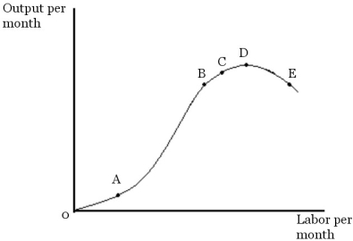 <strong> Figure 6.1 Refer to Figure 6.1.At point C</strong> A)the marginal product of labor is greater than the average product of labor. B)the average product of labor is greater than the marginal product of labor. C)the marginal product of labor and the average product of labor are equal. D)the marginal product of labor and the average product of labor are both increasing. E)Both B and D are correct.