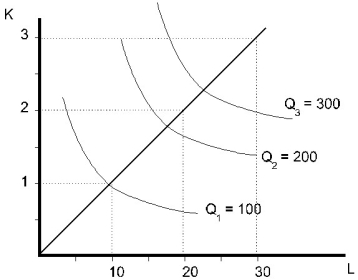 <strong> Figure 6.2 Refer to Figure 6.2.The situation pictured is one of</strong> A)constant returns to scale,because the line through the origin is linear. B)decreasing returns to scale,because the isoquants are convex. C)decreasing returns to scale,because doubling inputs results in less than double the amount of output. D)increasing returns to scale,because the isoquants are convex. E)increasing returns to scale,because doubling inputs results in more than double the amount of output.