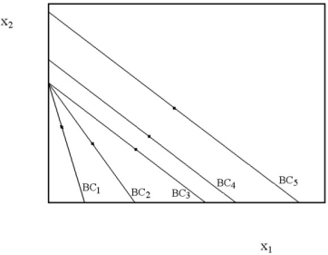 In the diagram below,Marvin's optimal consumption bundles are indicated for five different budget constraints.Sketch the Engel curve for Marvin.Next,use the diagram to sketch Marvin's demand curve for the good on the horizontal axis.  