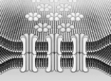   -Illustrated here is A)  an axon hillock. B)  a synapse. C)  a gap junction. D)  a dendritic spine. E)  none of the above
