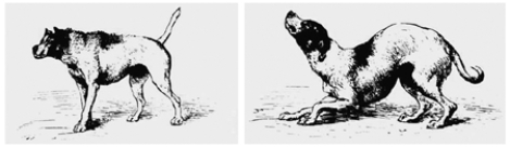 These are famous illustrations.Where were they originally published and what do they illustrate? Explain.   