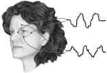 Electrooculography is a technique for monitoring   A)  penile engorgement. B)  cortical activity. C)  blood pressure. D)  eye movement. E)  muscle tension.