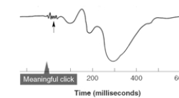 The short-latency low-amplitude signals (indicated by the arrow) in this average auditory evoked potential are termed   A)  the P300. B)  the P400. C)  the ERP. D)  the sensory evoked potential. E)  far-field potentials.