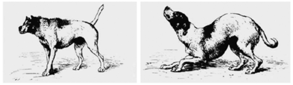These are famous illustrations.Where were they originally published,and what do they illustrate? Discuss.