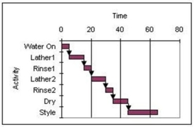 Consider the Gantt chart shown below where the time scale is in minutes and all activities are performed on an early start basis.How much slack is available in The Great Hair Washing project?   A)  10 minutes B)  15 minutes C)  0 minutes D)  5 minutes