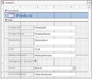   Referencing the image above,this form is shown in ________ view. A)  Format B)  Form C)  Design D)  Layout