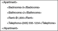   The text shown above represents information structured using ________ syntax. A) Visual Basic B) Excel macro C) HTML D) XML