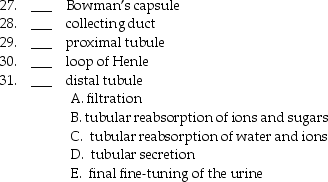 Match the following structures with their primary function.   