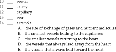 Match the following vessels with the proper description.   