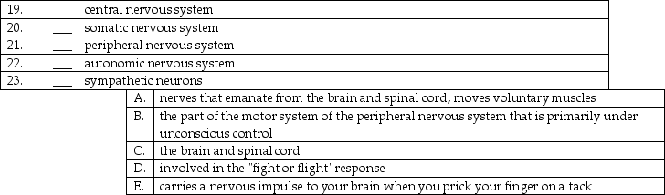 Match the following divisions of the nervous system with the proper description.   