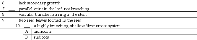 Match the following plant structures with the proper taxonomic group.   