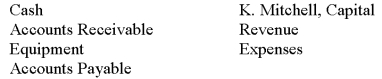The transactions listed below took place at the Mitchell Advertising Agency. These transactions affected the following accounts. Indicate the accounts affected and use plus and minus to show the changes caused by each transaction. Purchased a computer for cash