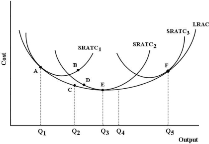 The figure below shows a family of cost curves for a firm. The subscripts 1, 2, and 3 for the SRATC curves refer to different plant sizes.   FIGURE 8- 3 -Refer to Figure 8- 3. Suppose this firm is producing output level Q3 with plant size 2. Now suppose this firm changes to plant size 3 and is producing output level Q5. We can say that A)  output has increased exactly in proportion to the increase in inputs. B)  output has increased less than in proportion to the increase in inputs. C)  output has increased more than in proportion to the increase in inputs. D)  this firm has experienced economies of scale. E)  the firm is then operating with the optimal plant size.