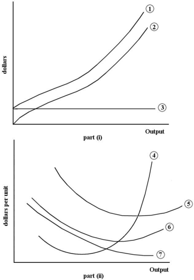 The diagram below shows some short- run cost curves for a firm.   FIGURE 7- 2   4 -Refer to Figure 7- 2. Which of the following choices correctly identifies the cost curves in part (i)  of the figure? A)  Curve 1 is the total cost curve. Curve 2 is the total variable cost curve. Curve 3 is the average fixed cost curve. B)  Curve 1 is the total cost curve. Curve 2 is the total variable cost curve. Curve 3 is the total fixed cost curve. C)  Curve 1 is the total marginal cost curve. Curve 2 is the total average cost curve. Curve 3 is the total average fixed cost curve. D)  Curve 1 is the total fixed cost curve. Curve 2 is the total variable cost curve. Curve 3 is the total cost curve. E)  Curve 1 is the total variable cost curve. Curve 2 is the total cost curve. Curve 3 is the total fixed cost curve.