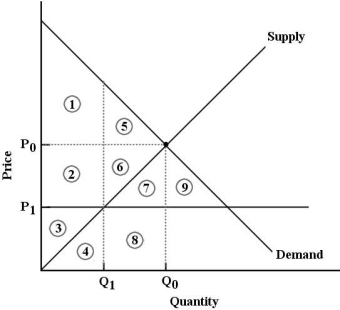   FIGURE 5- 6 -Refer to Figure 5- 6. The market for good X is in equilibrium at P0 and Q0. Now suppose the government imposes a at P1. One result would be . A)  price floor; a deadweight loss represented by areas 2, 6 and 7. B)  price ceiling; a deadweight loss represented by areas 5, 6, 7 and 8. C)  price ceiling; an increase in economic surplus represented by areas 5 and 6. D)  price floor; a deadweight loss represented by areas 5, 6, 7 and 8. E)  price ceiling; a deadweight loss represented by areas 5 and 6.