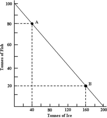 The figure below shows Arcticland's annual production possibilities boundary for the production of fish and ice.   FIGURE 33- 4 -Refer to Figure 33- 4. Suppose that a trading partner offers to give Arcticland some fish in exchange for its ice. If Arcticland is to improve its consumption possibilities, the terms of trade must be 1 tonne of fish for A)  5 tonnes of ice. B)  4 tonnes of ice. C)  3 tonnes of ice. D)  2 tonne of ice. E)  1 tonne of ice.