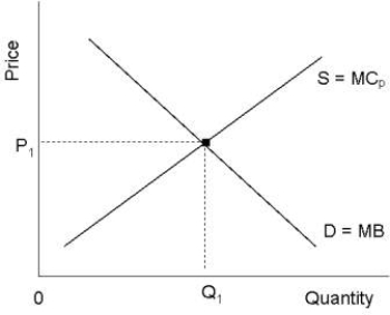 The diagram below shows demand and supply curves for some perfectly competitive market.   FIGURE 16- 2 -Refer to Figure 16- 2. Suppose that the marginal benefit curve (MB)  includes all social benefits and that there are no externalities in production. In this case, for allocative efficiency. A)  P1 and Q1 are appropriate B)  the price P1 is too low but the quantity Q1 is appropriate C)  the price P1 is appropriate but the quantity Q1 is too low D)  the price P1 is too high but the quantity Q1 is appropriate E)  the price P1 is appropriate but the quantity Q1 is too high