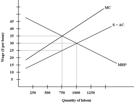 <strong>The diagram below shows the supply and demand for labour in a hypothetical town in northern British Columbia, with only one employer, a logging company.   FIGURE 14- 4 Refer to Figure 14- 4. Suppose this labour market is in a monopsonistic equilibrium. Then, suppose the provincial government of British Columbia imposes a minimum wage for employees in this industry of $30 per hour. What will be the effects on wages and employment?</strong> A) wages will not change and employment will change by between 0 and 250 units of labour B) wages will fall by $5 per hour and employment will increase by 250 units of labour C) wages will rise by $5 per hour and employment will increase by 250 units of labour D) wages will not change and employment will not change E) wages will not change and employment will increase by 250 units of labour <div style=padding-top: 35px> 