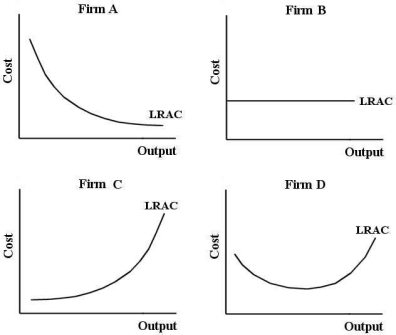 <strong>FIGURE 8- 1 Refer to Figure 8- 1.For which of the four firms in the figure is output increasing more than in proportion to inputs for all output levels?</strong> A)Firm A B)Firm B C)Firm C D)Firm D E)none of the four firms